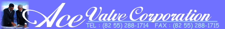 Ace Valve Corporation logo1